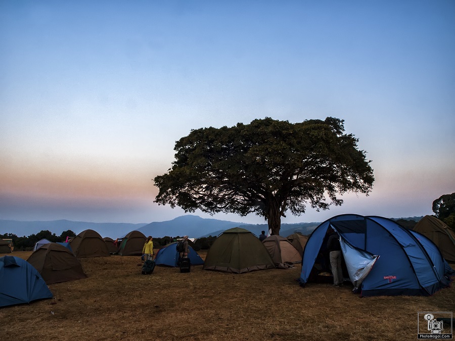 El Cráter del Ngorongoro, la naturaleza en estado puro.