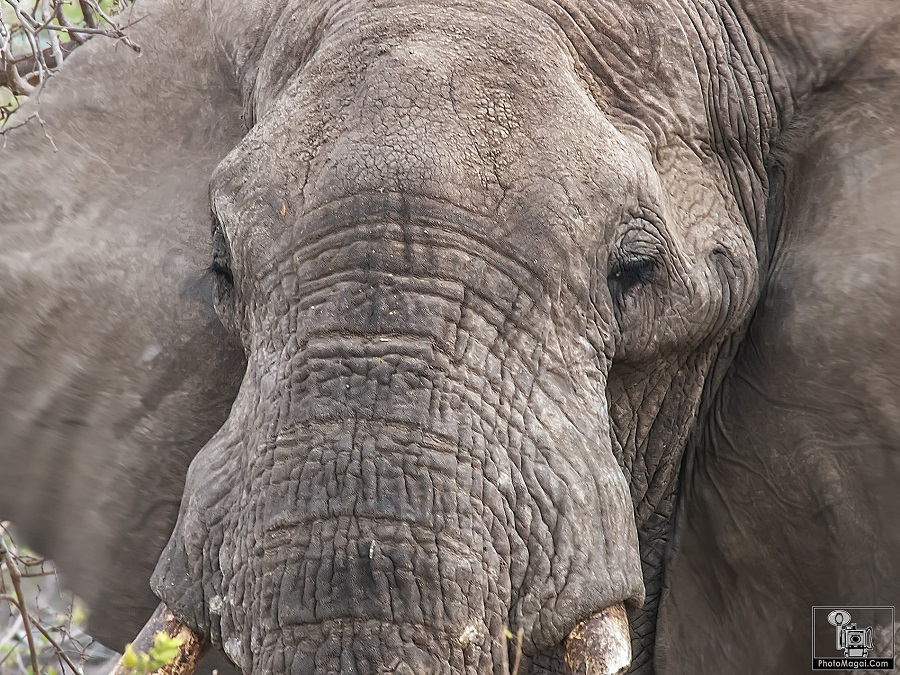 El Cráter del Ngorongoro, la naturaleza en estado puro.