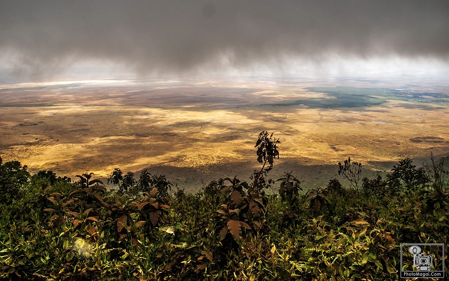 El Cráter del Ngorongoro, la naturaleza en estado puro.