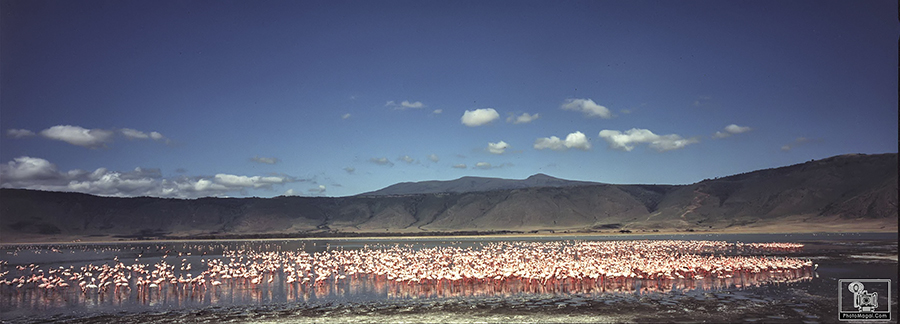 El Cráter del Ngorongoro, la naturaleza en estado puro.