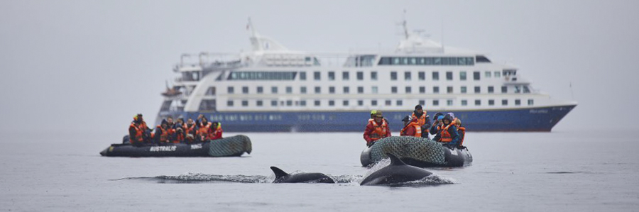 Australis anuncia su retorno a la navegación por Patagonia