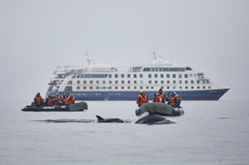 Australis anuncia su retorno a la navegación por Patagonia
