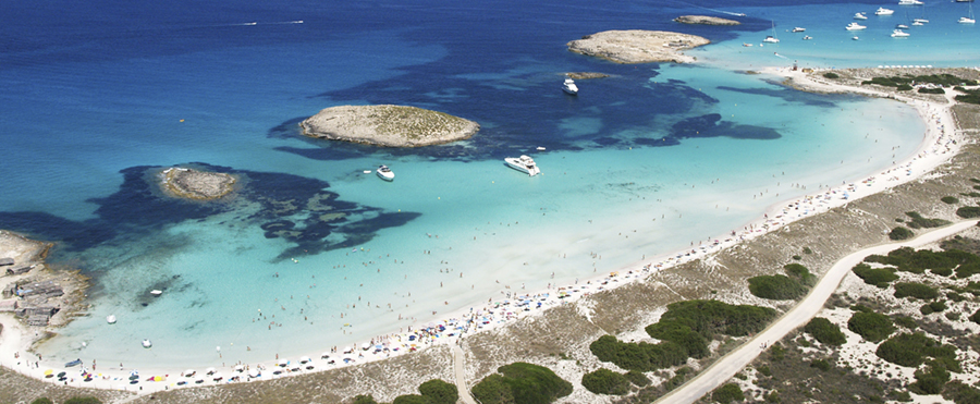Formentera refuerza el ‘Save Posidonia Project’ con su IV foro bienal