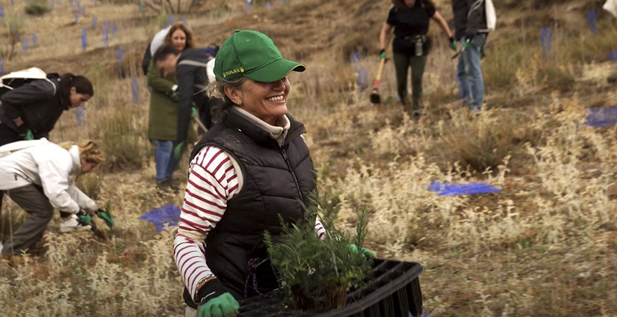 El Bosque Iberia finaliza su última fase de plantación en Paracuellos del Jarama
