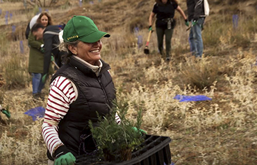 El Bosque Iberia finaliza su última fase de plantación en Paracuellos del Jarama