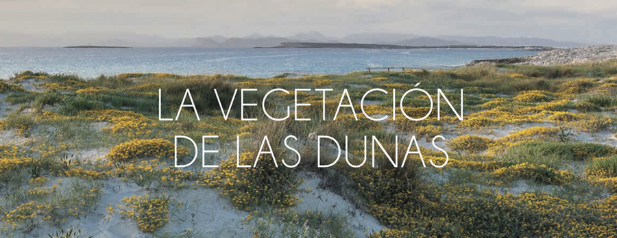 7 claves para admirar la belleza floral de Formentera ¡en primavera!