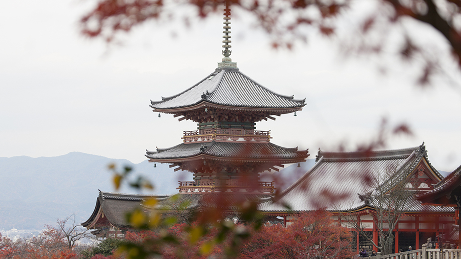 Japón abre sus fronteras al turismo sin restricciones