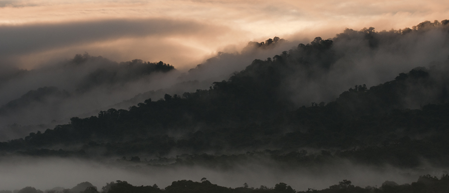 El Chocó Andino, un paraíso para la práctica del ecoturismo en Quito