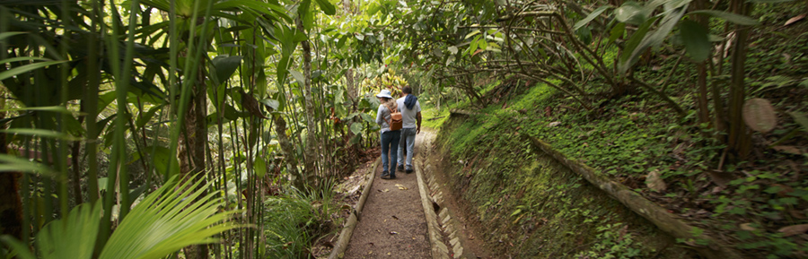 El Patrimonio Arqueológico de Quito es el escenario ideal para nuevas aventuras