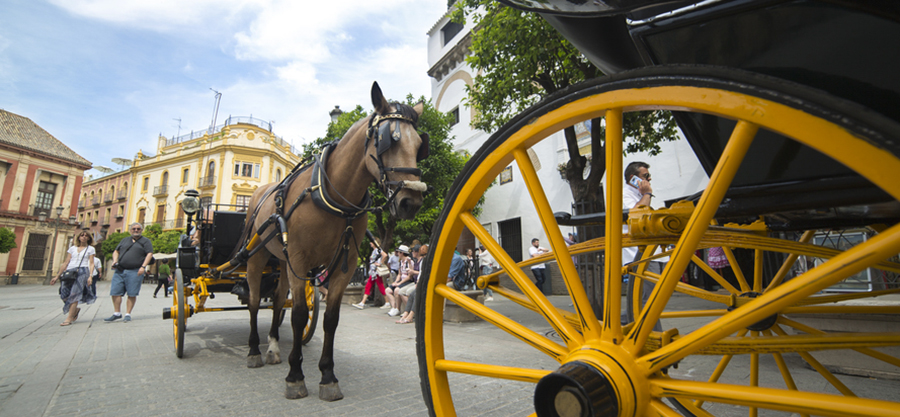 La pasión y la emoción vuelven  en Semana Santa a Sevilla