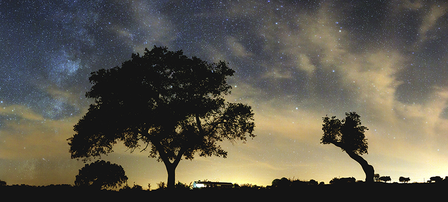 Destinos Starlight: lugares donde disfrutar del encanto de las estrellas