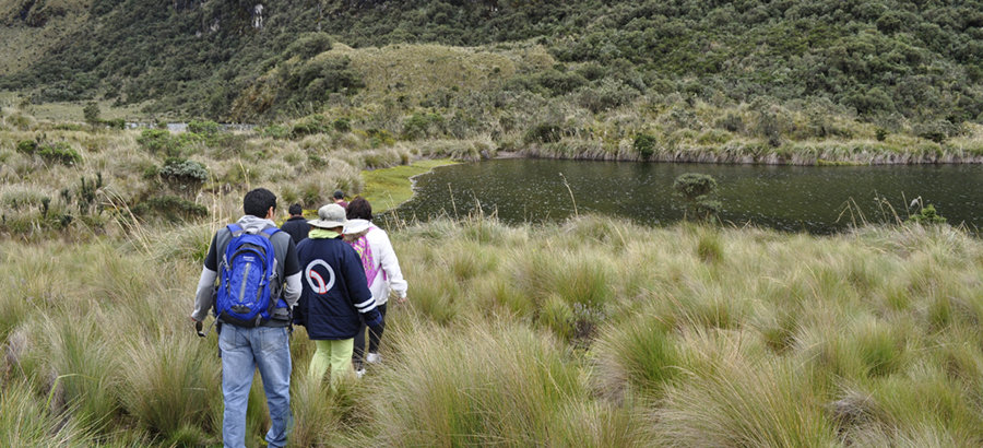 Los humedales, un recurso natural que atrae miles de turistas a Quito