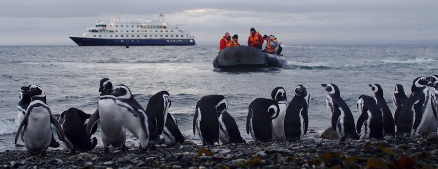 Navegar por Patagonia con Australis: un destino sostenible y de gran gastronomía